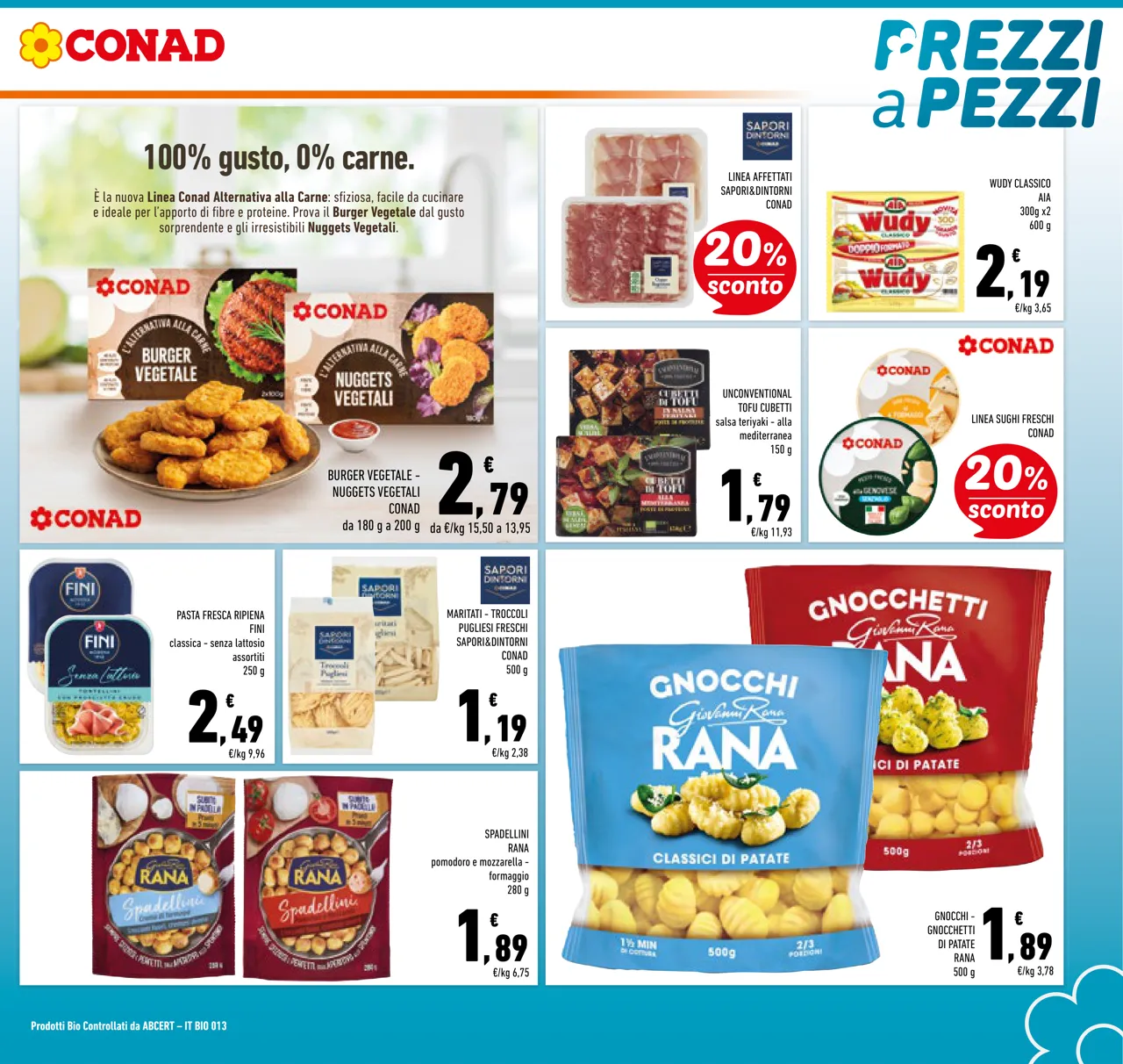 Pagina 13