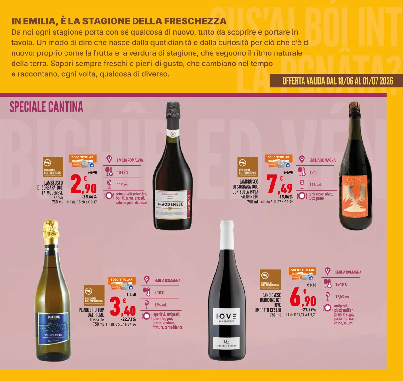 Pagina 7