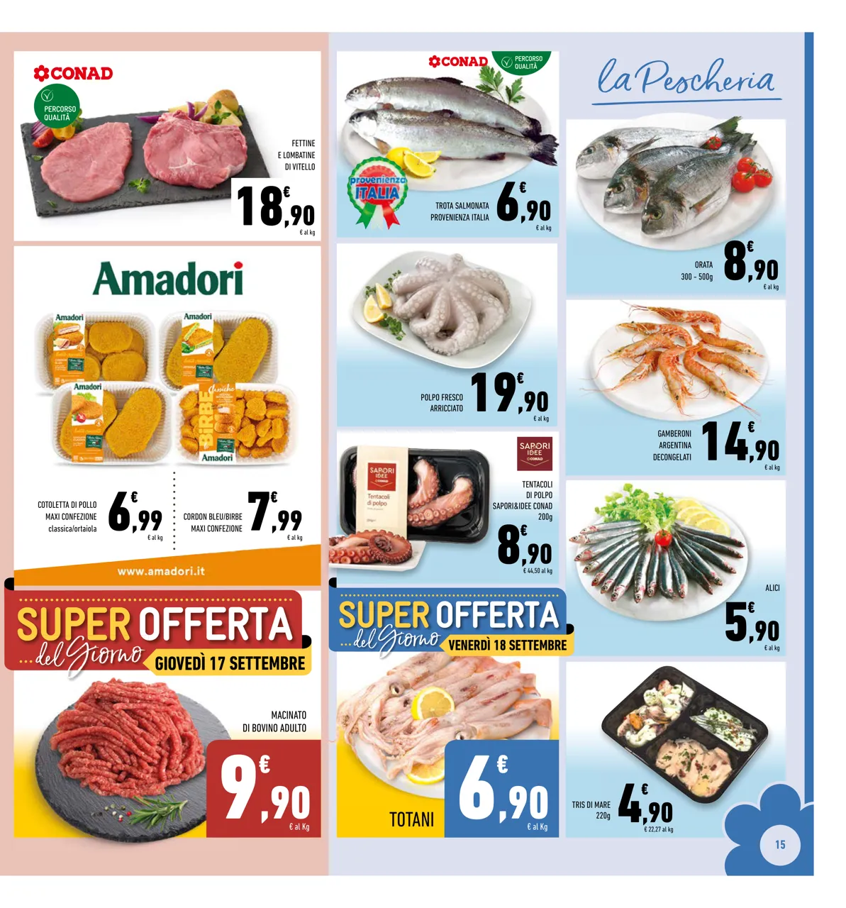 Pagina 15