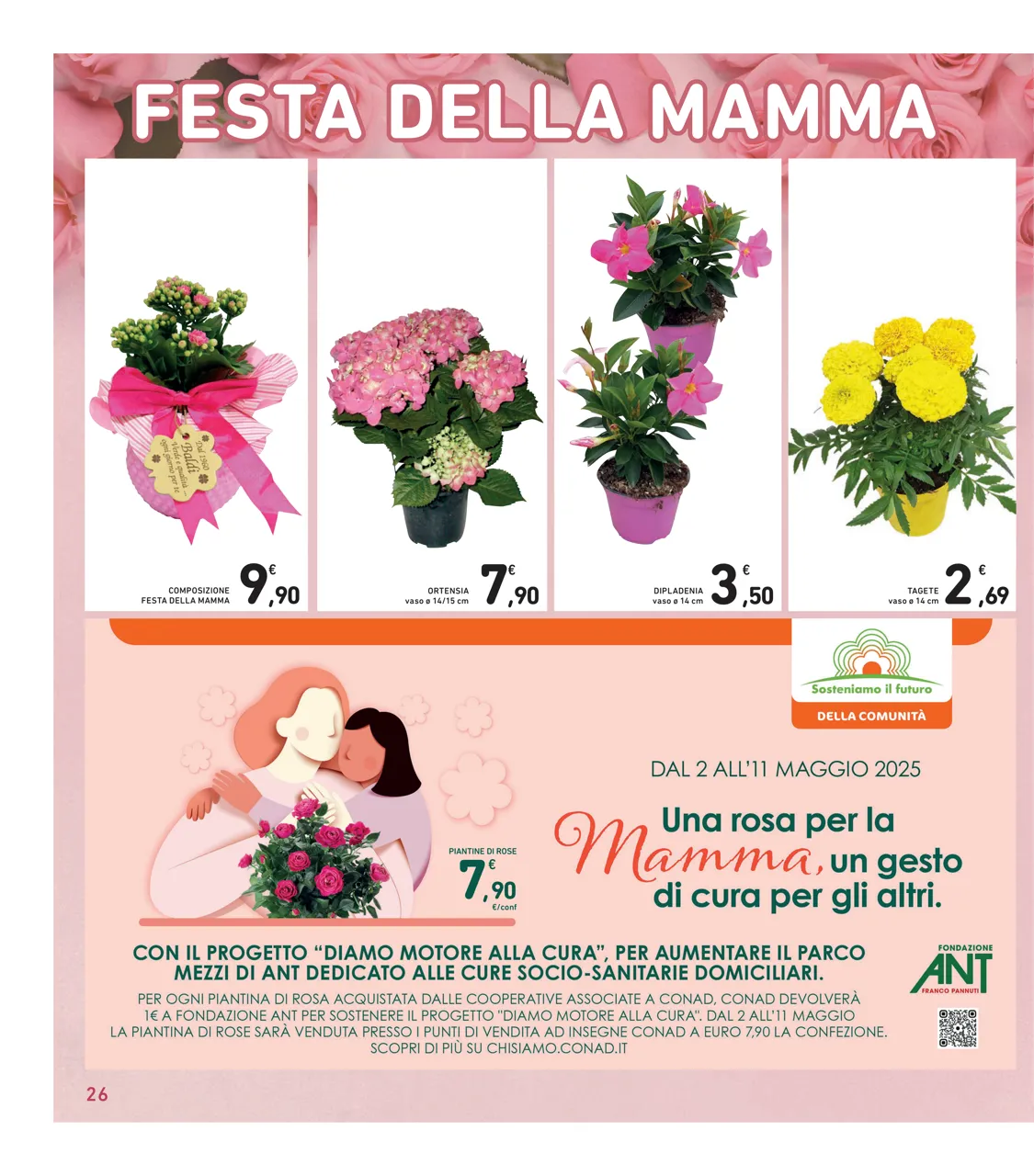 Pagina 26