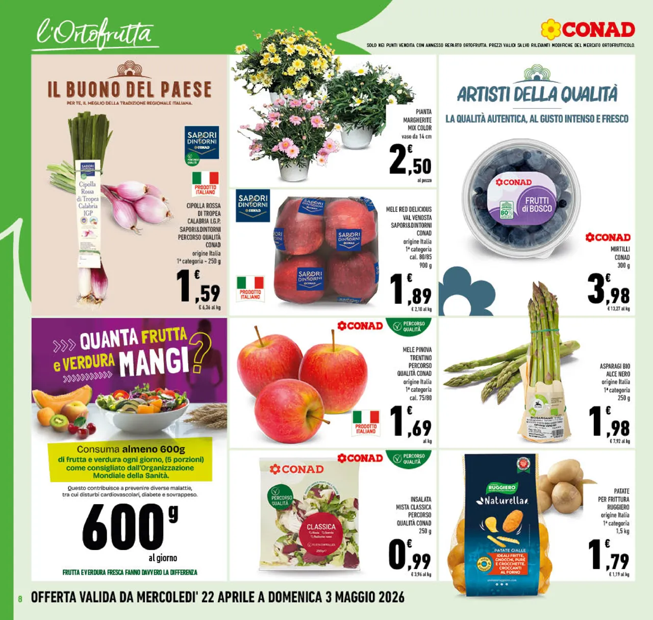 Pagina 8