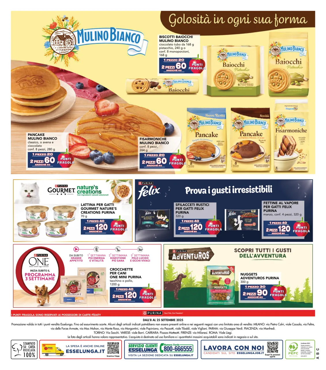 Pagina 12