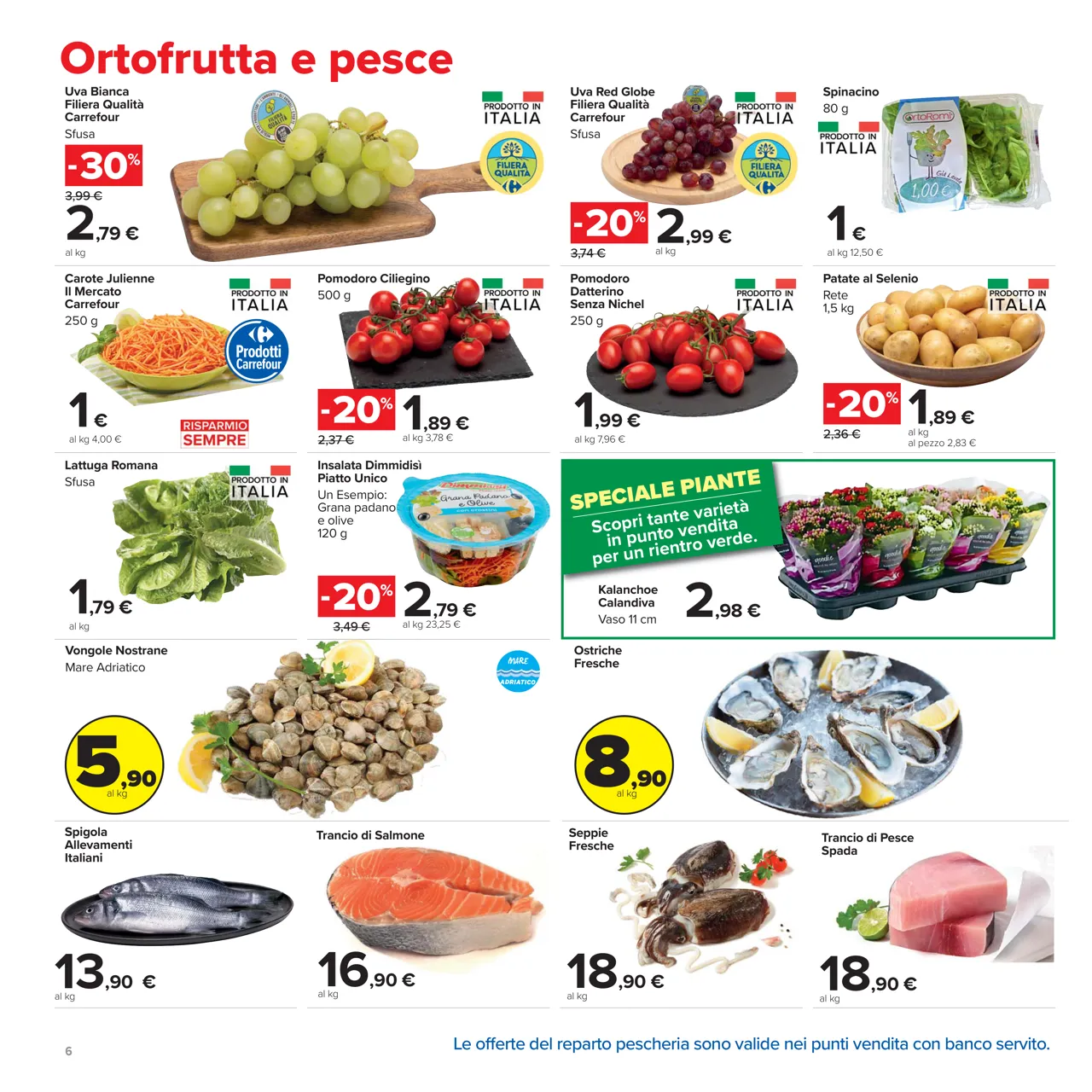 Pagina 6