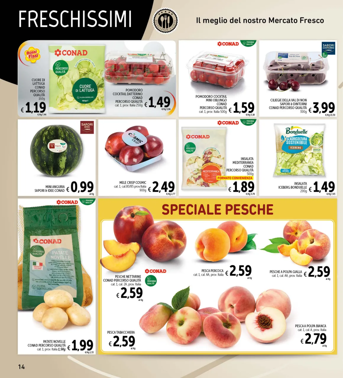 Pagina 14