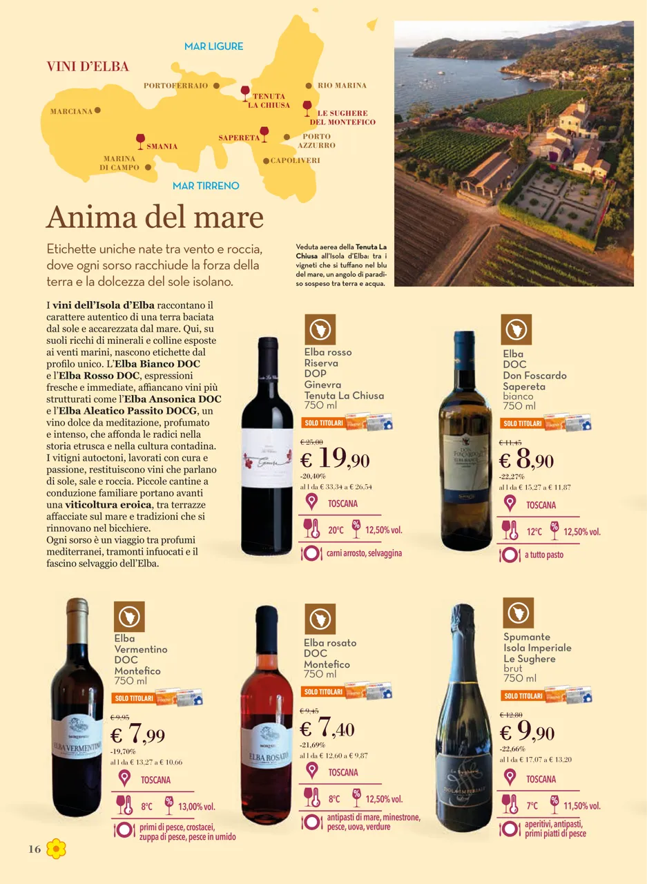Pagina 16