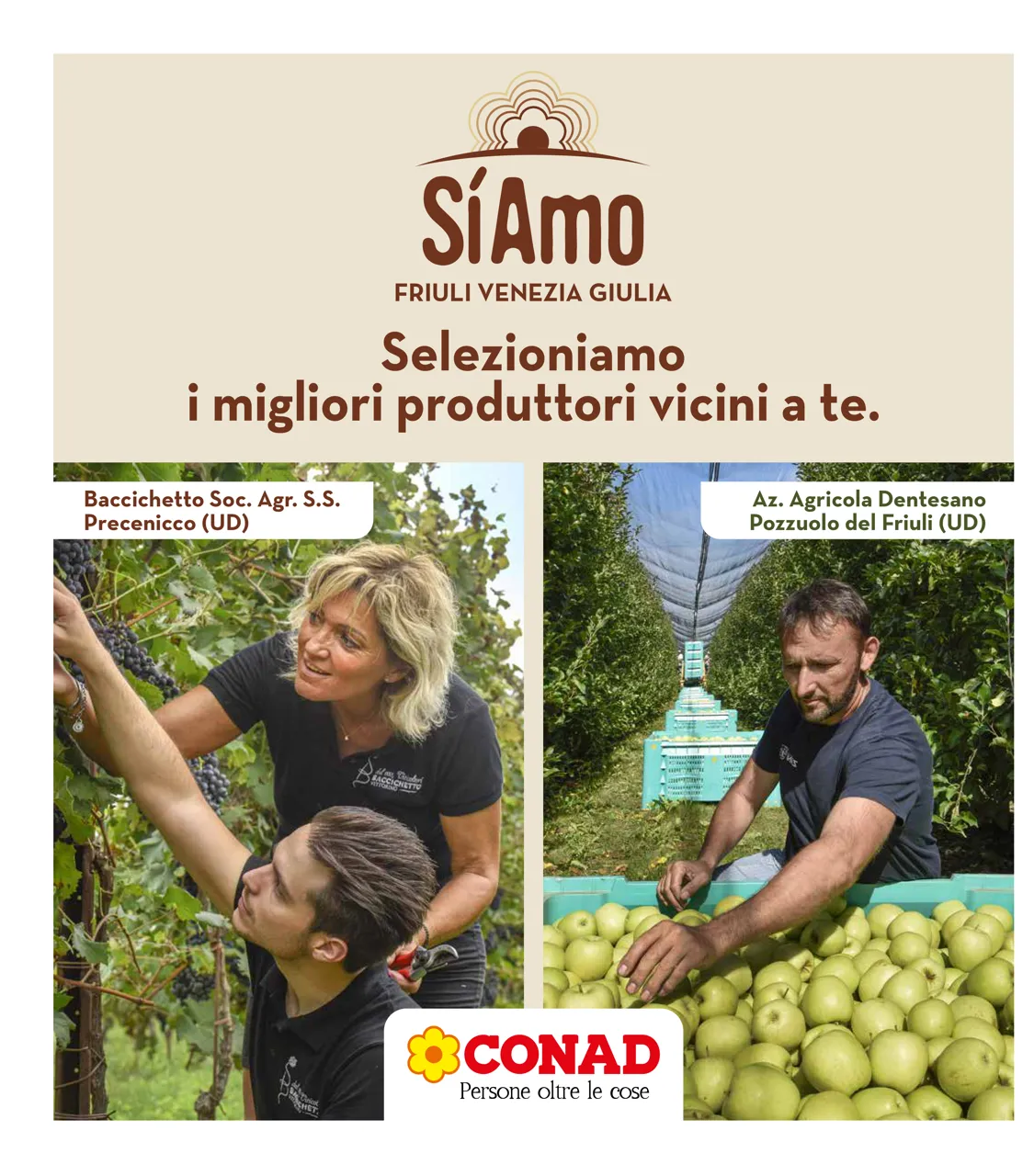 Pagina 34