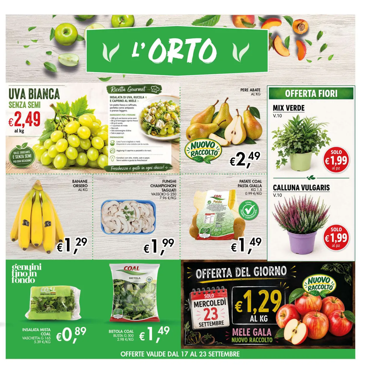 Pagina 7