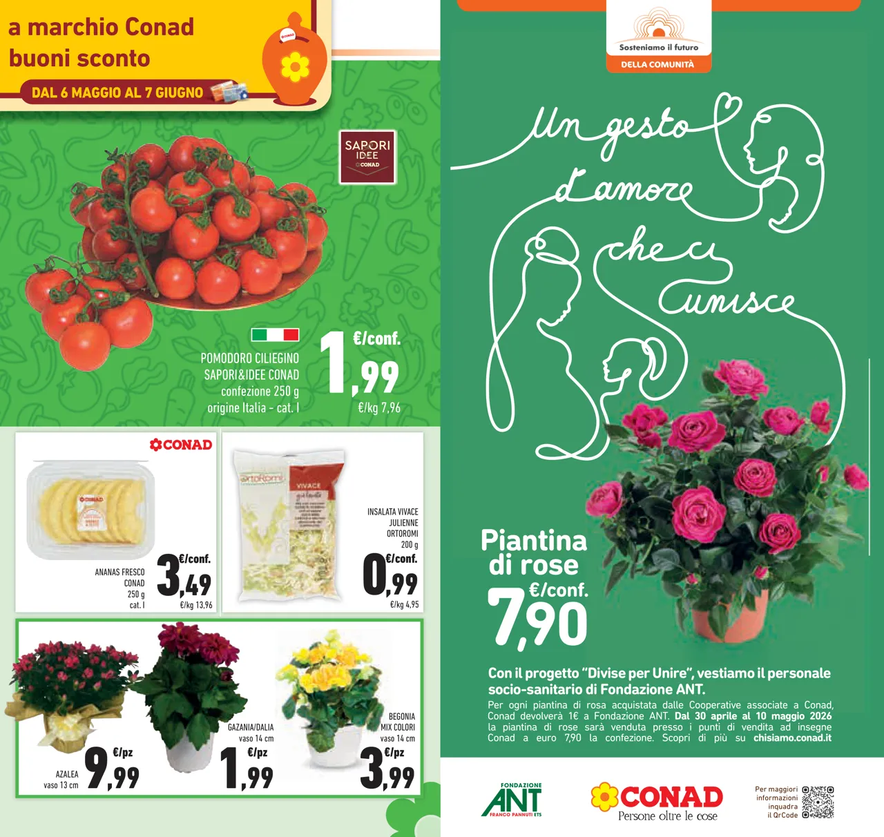 Pagina 11