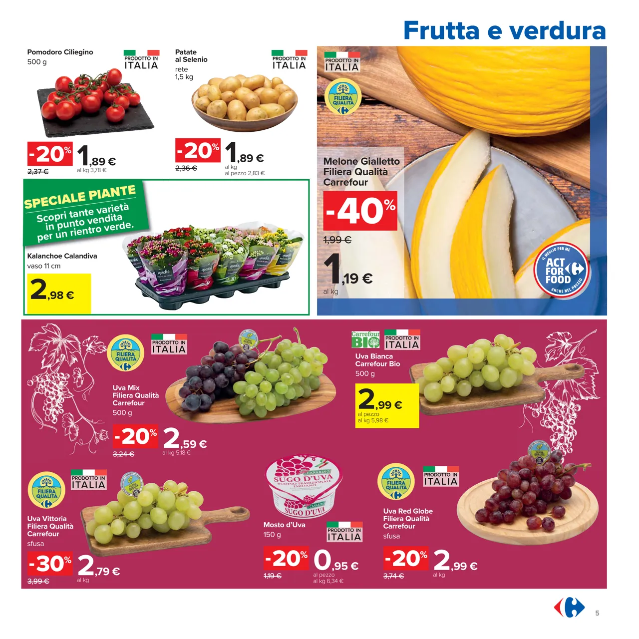 Pagina 5