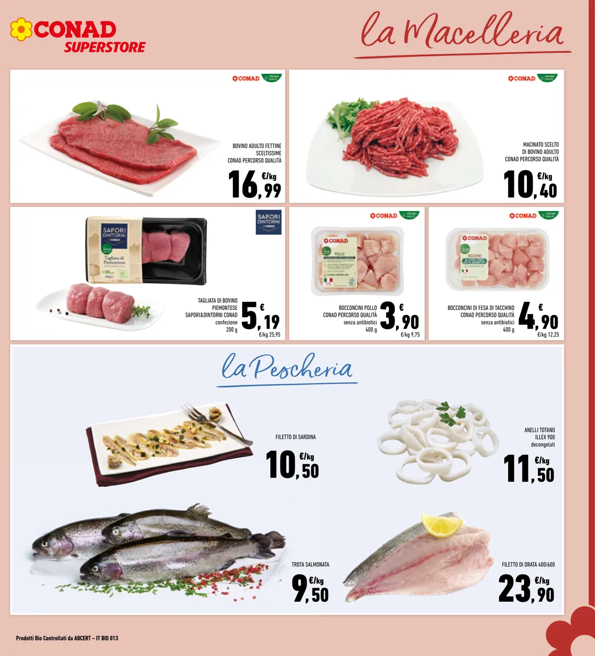 Pagina 5