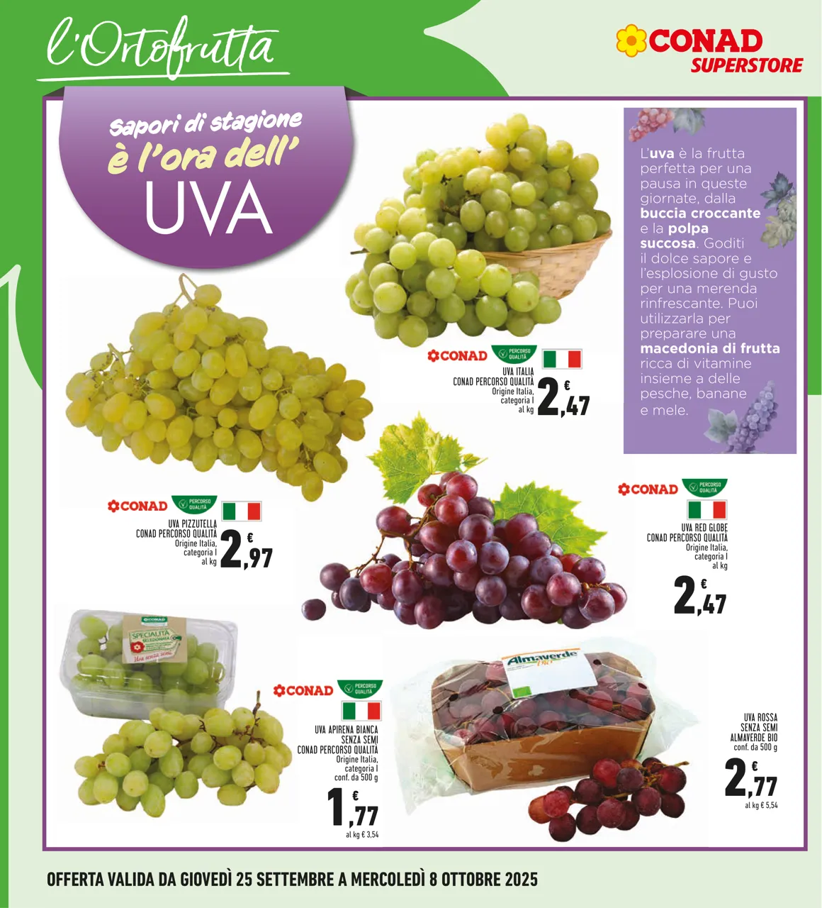 Pagina 8