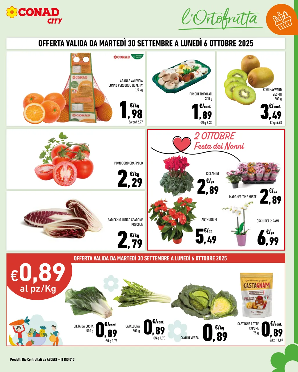Pagina 3