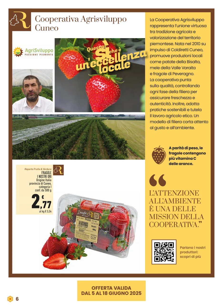 Pagina 6