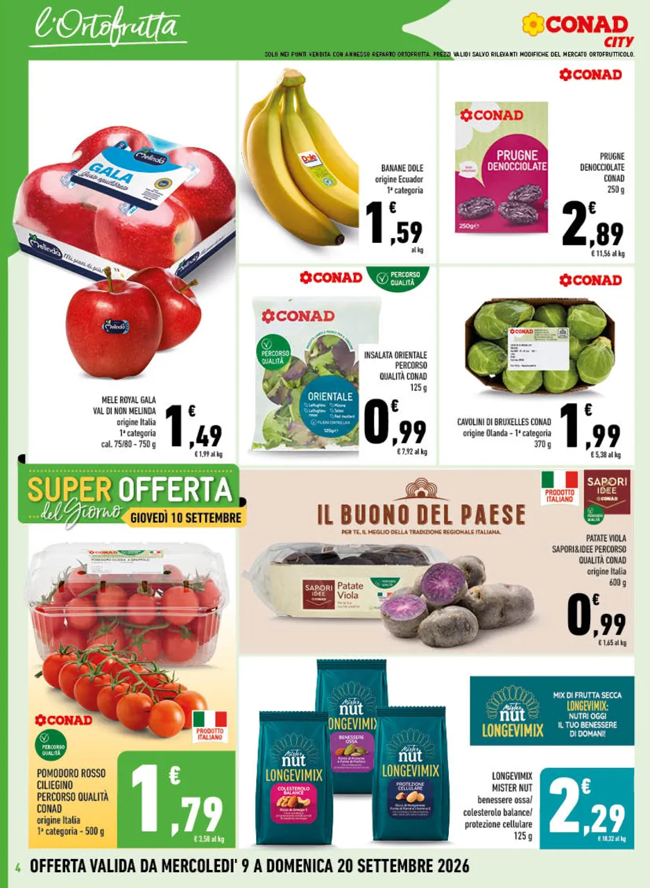 Pagina 4