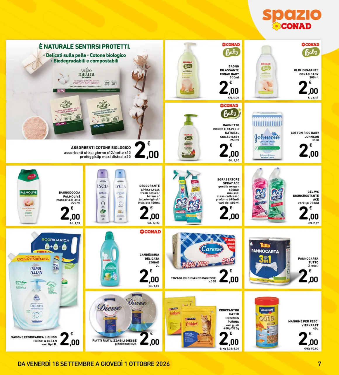 Pagina 7