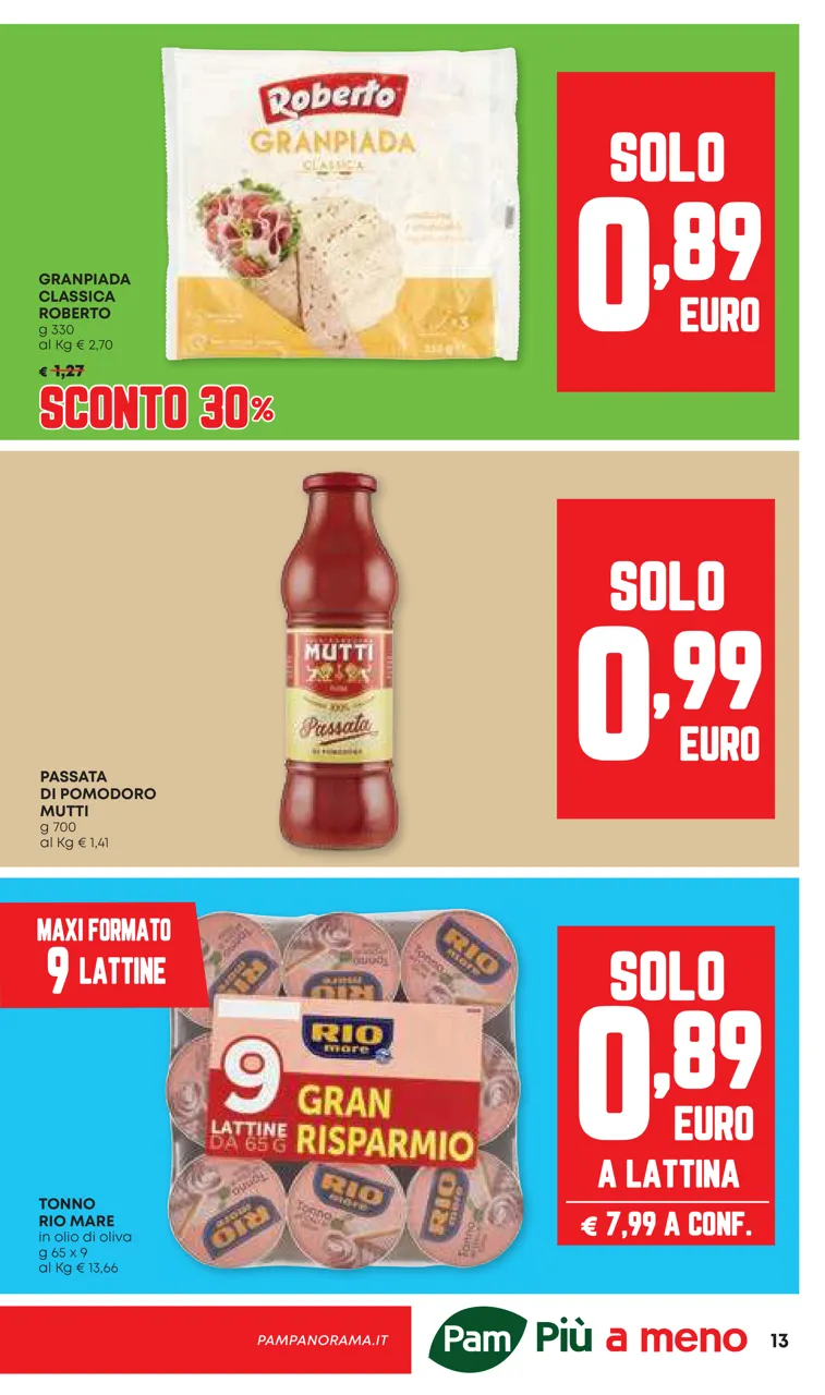 Pagina 13