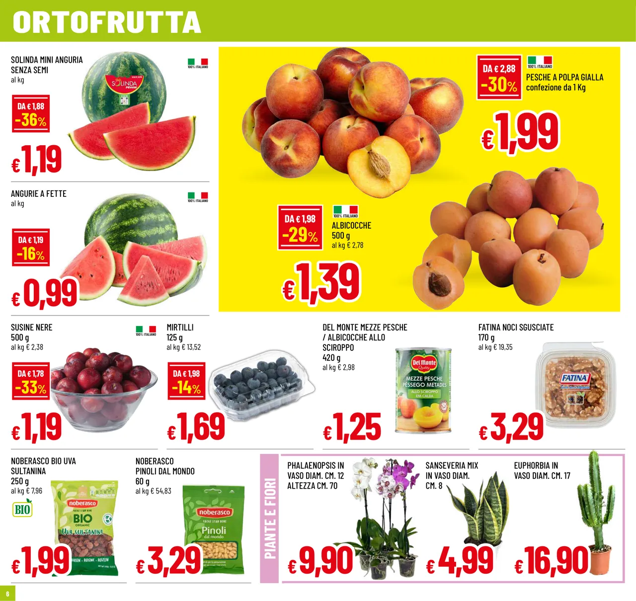 Pagina 6