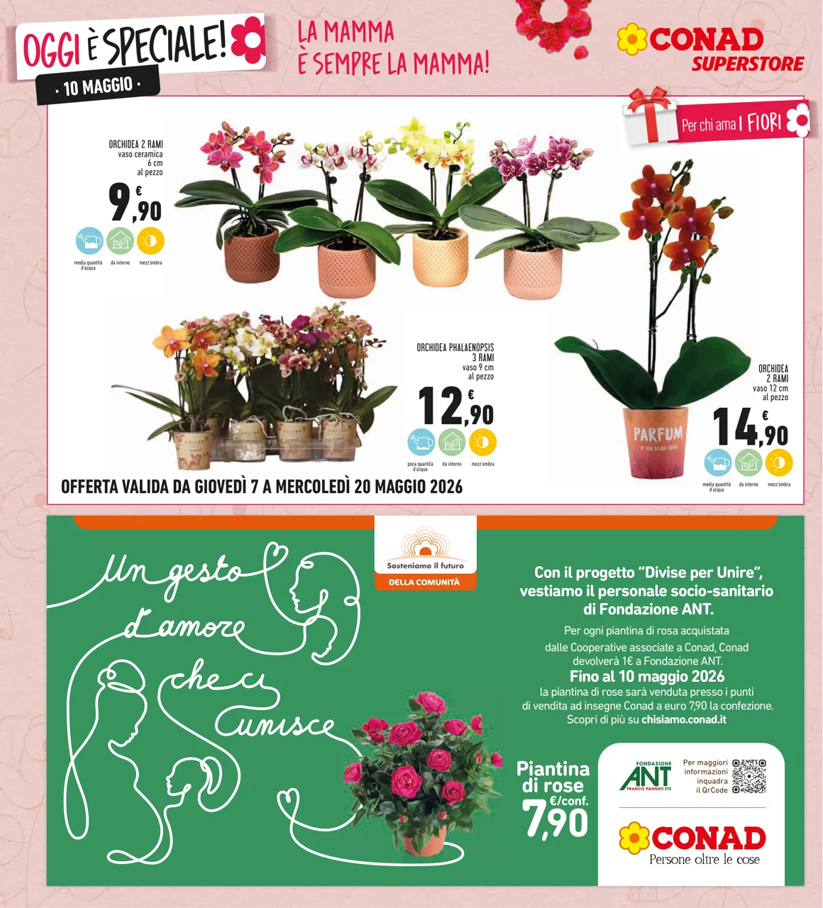 Pagina 10