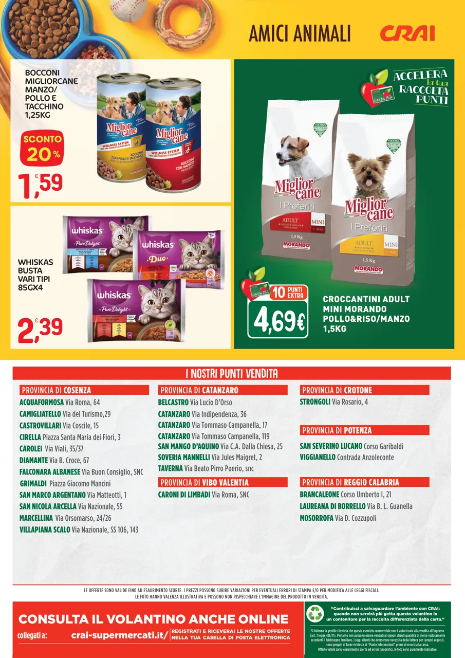 Pagina 12