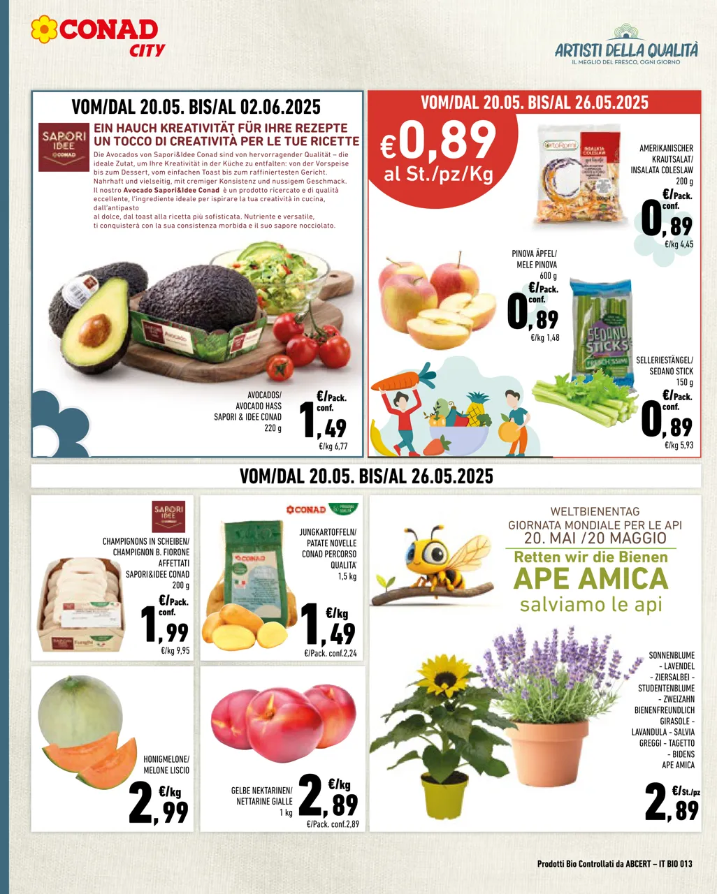 Pagina 6