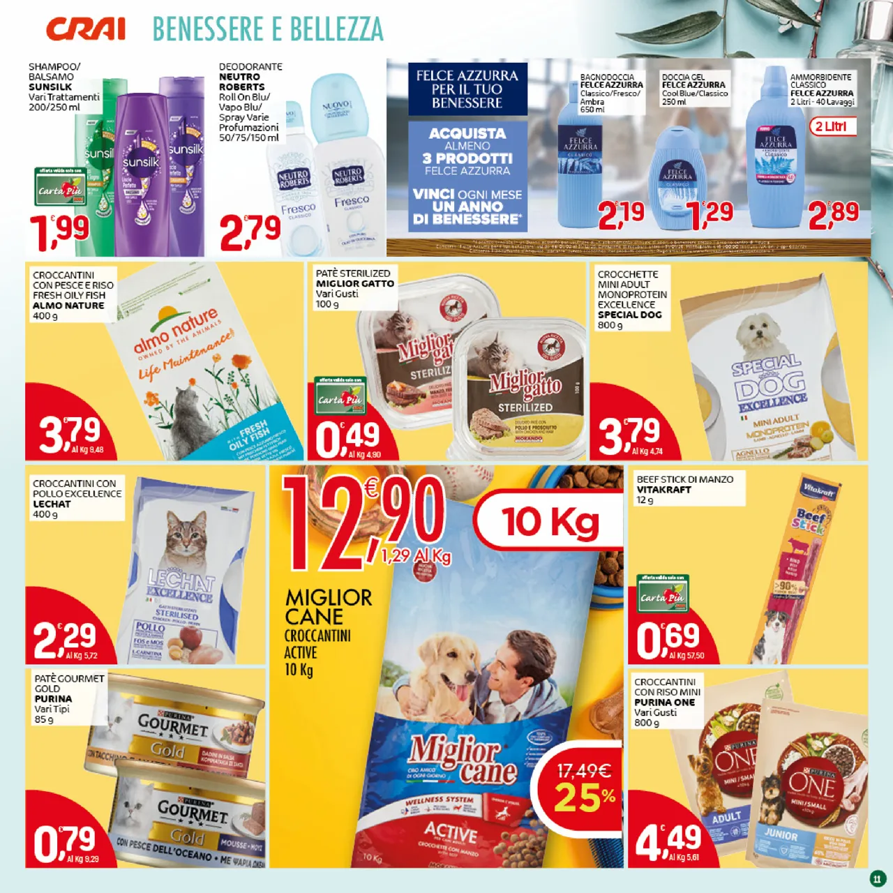 Pagina 11