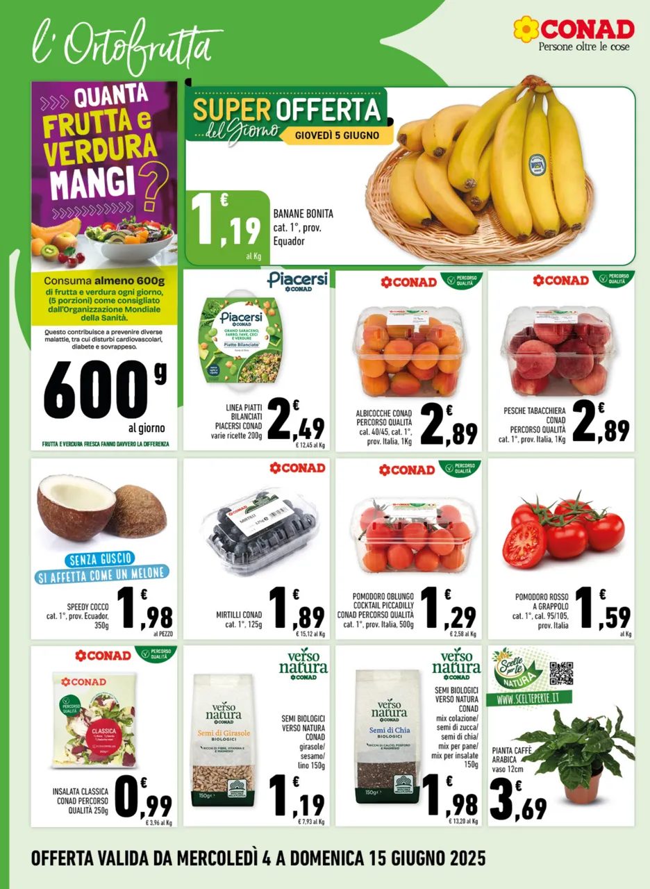 Pagina 6