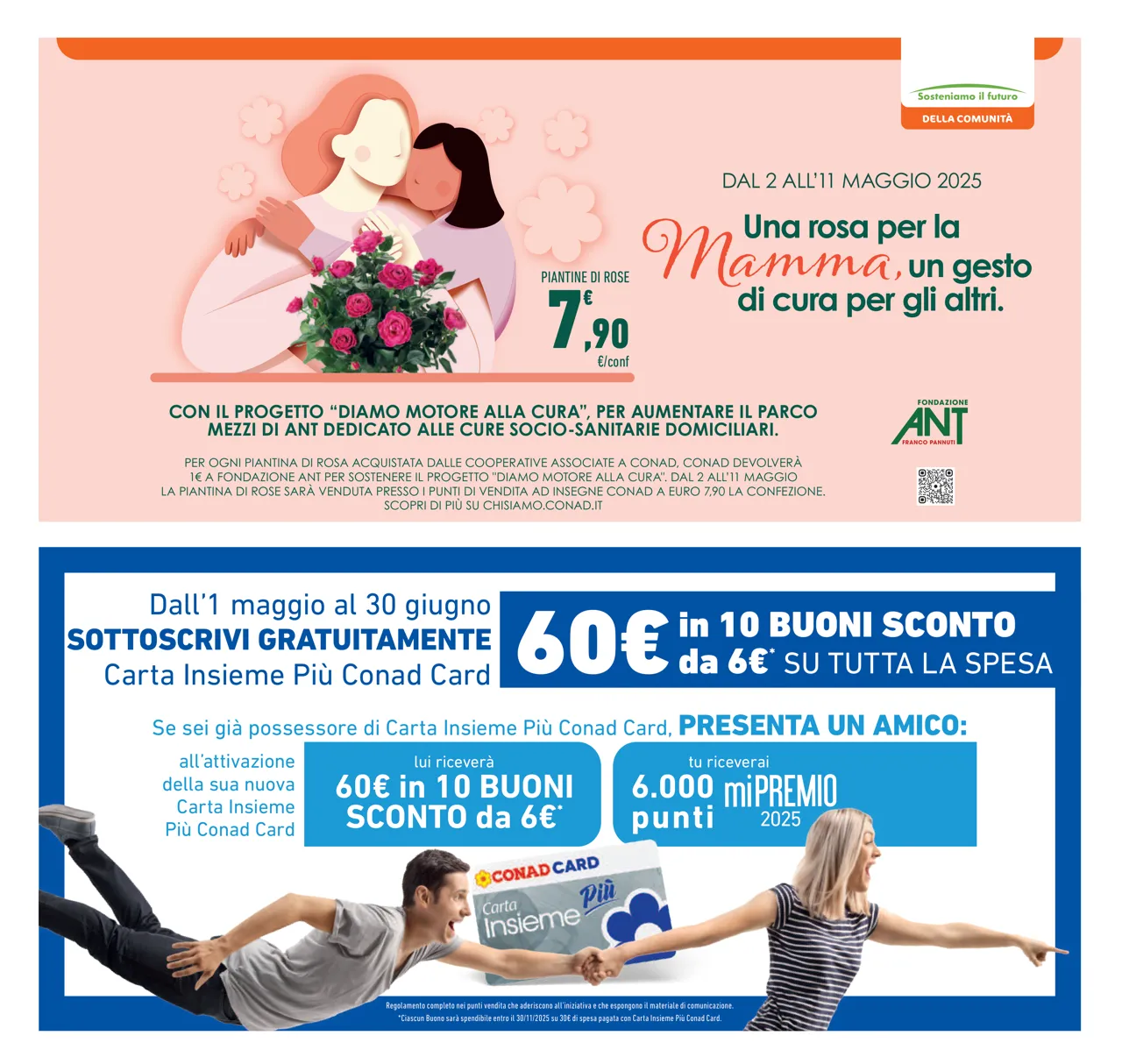 Pagina 26