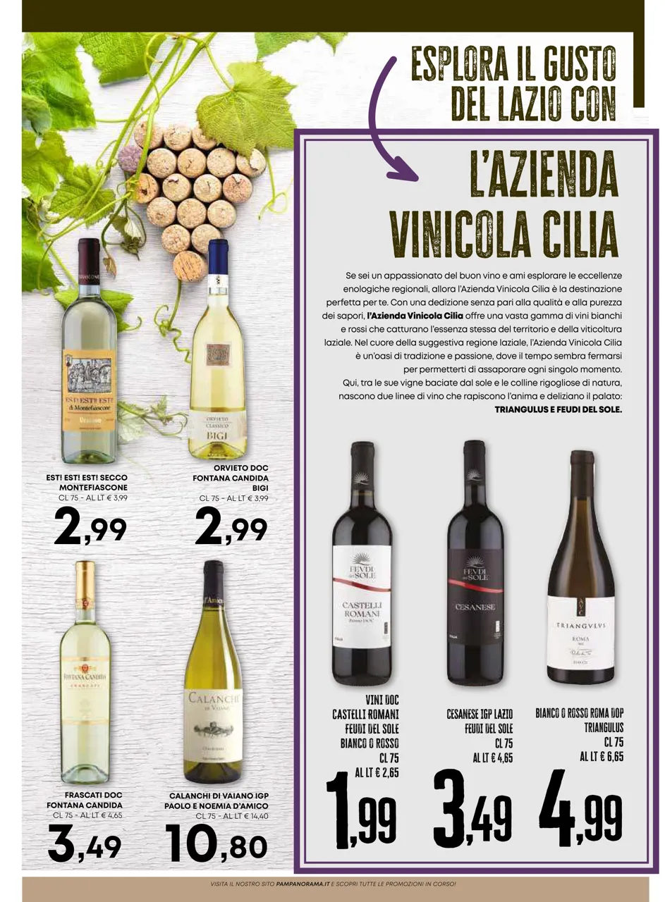 Pagina 10