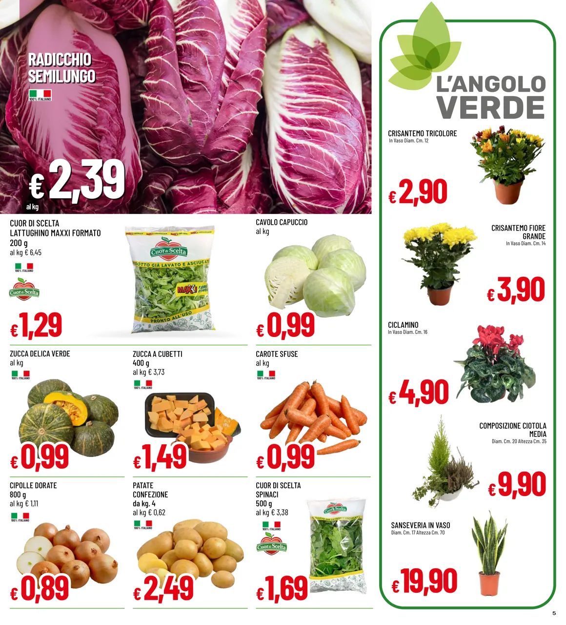 Pagina 5