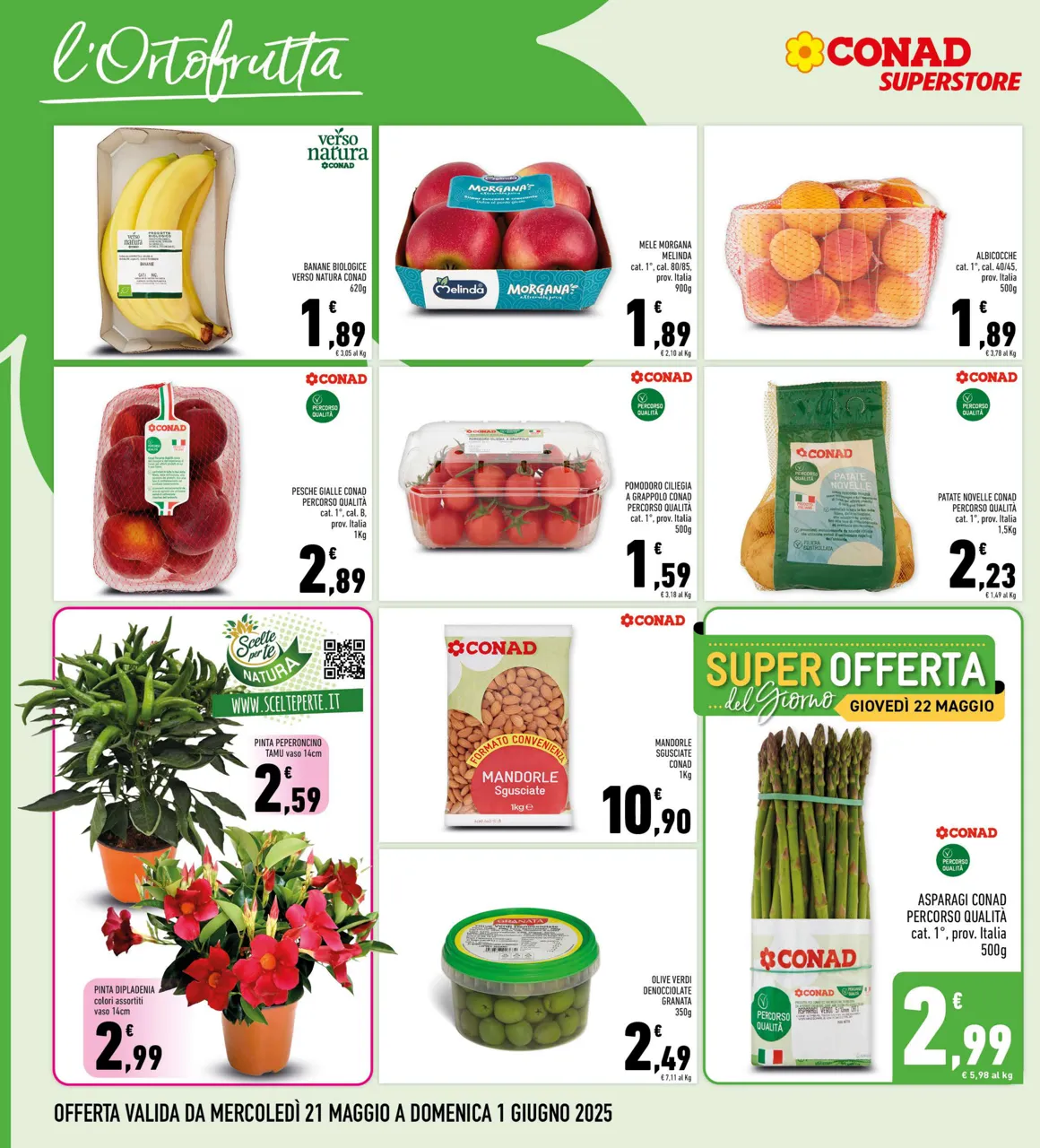 Pagina 6