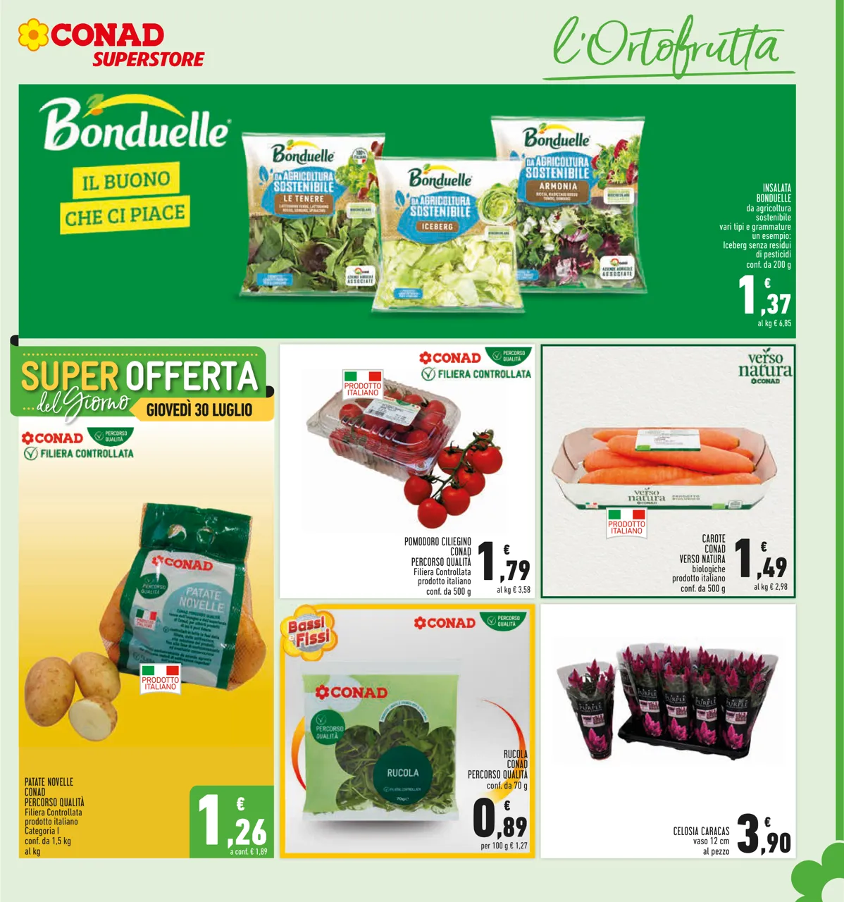 Pagina 7