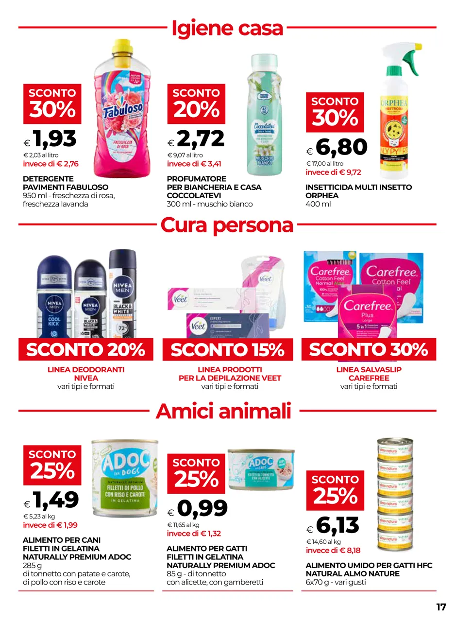 Pagina 17