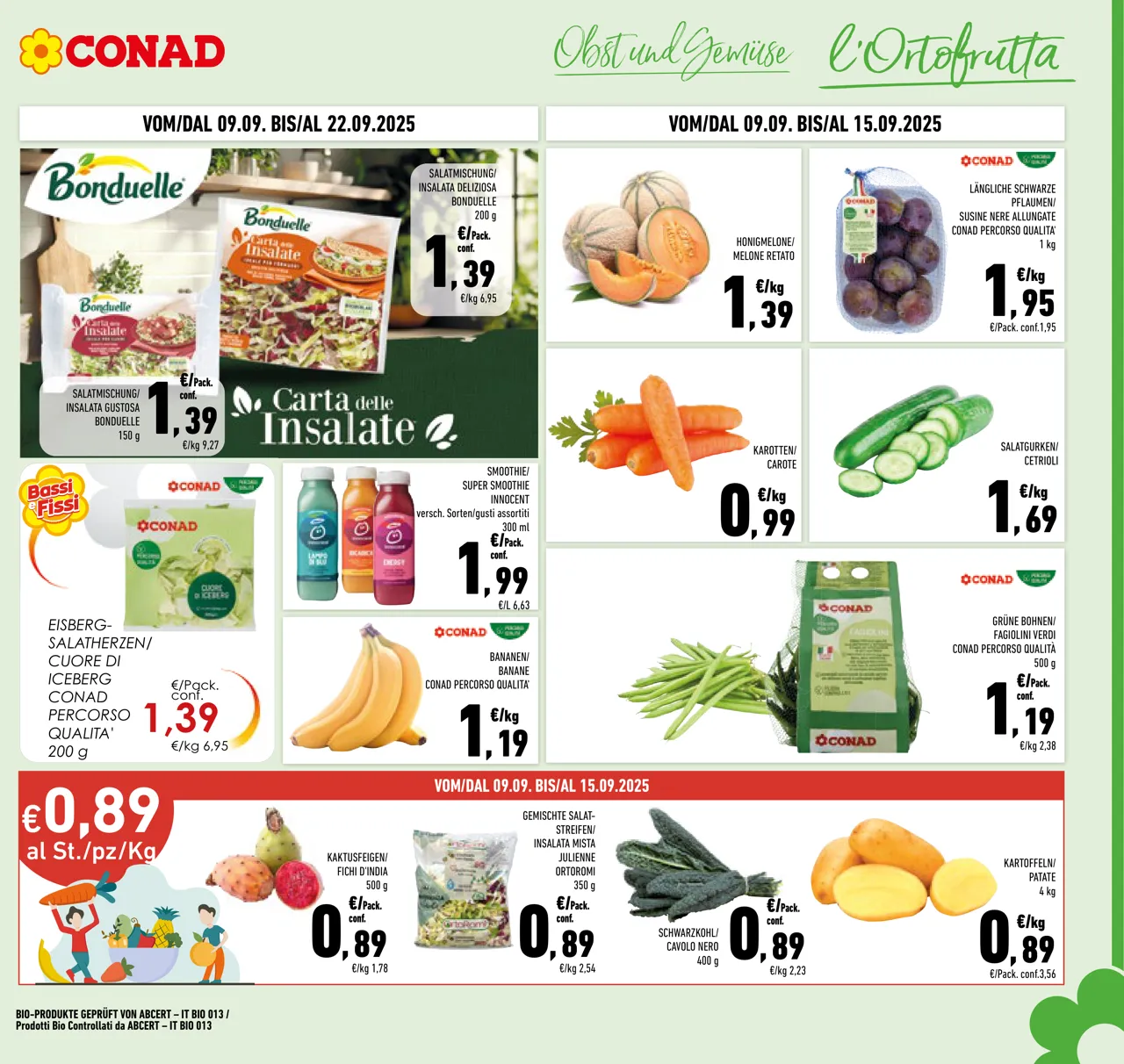 Pagina 3