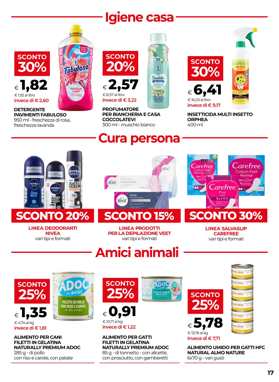 Pagina 17