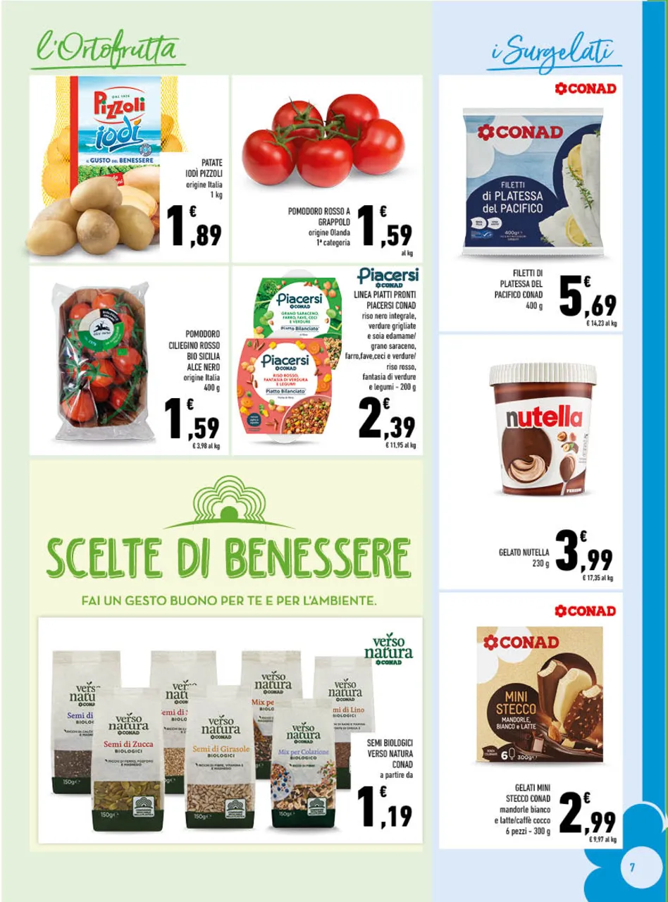 Pagina 7