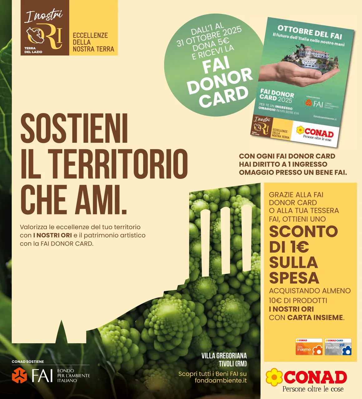 Pagina 31