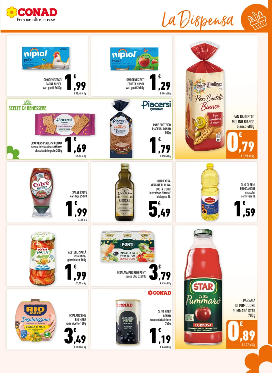 Pagina 11