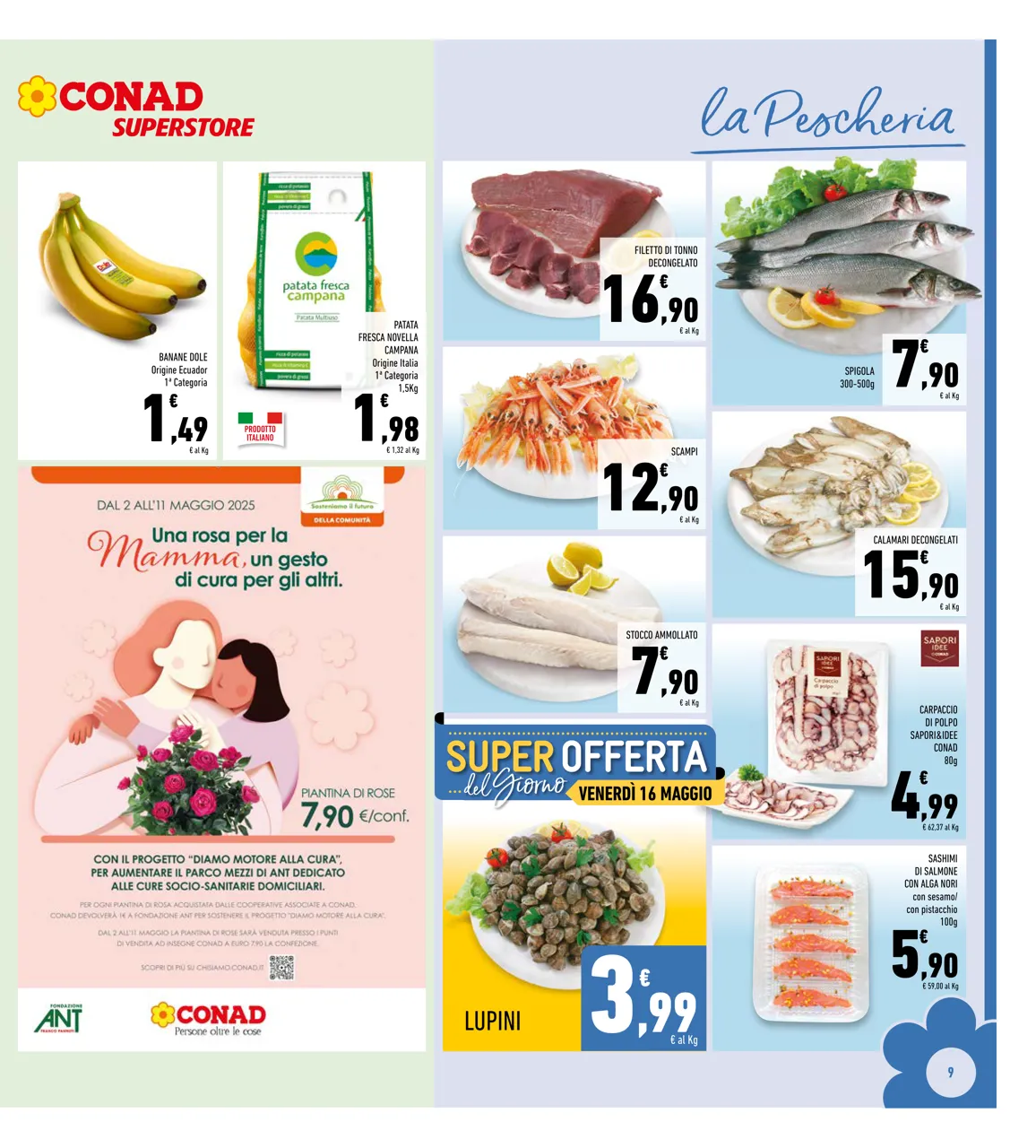 Pagina 9