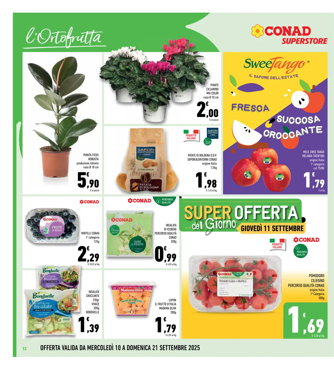 Pagina 12