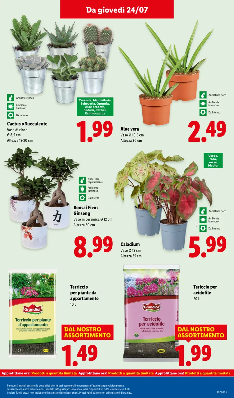 Pagina 31