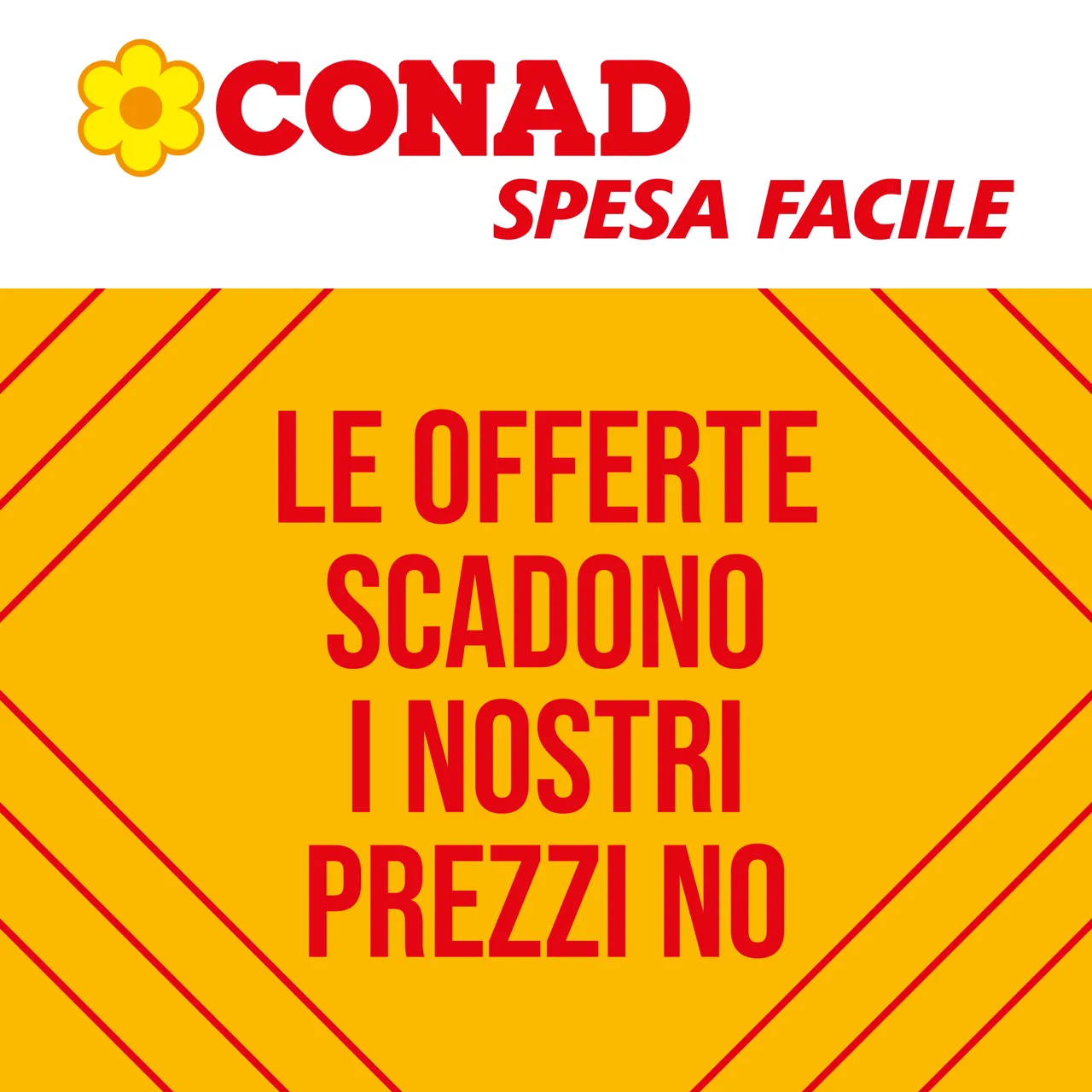 Pagina 1