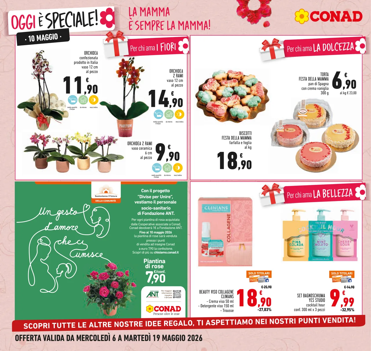 Pagina 8