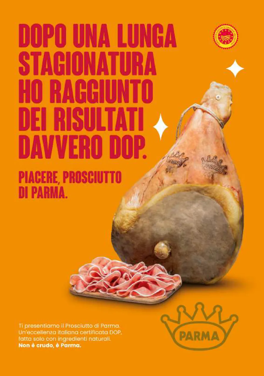 Pagina 7