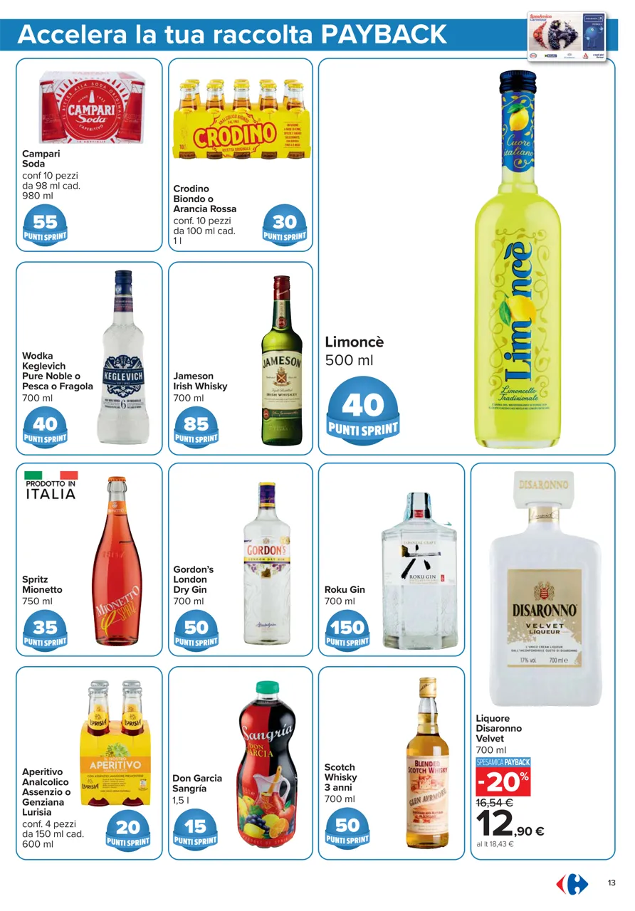 Pagina 13