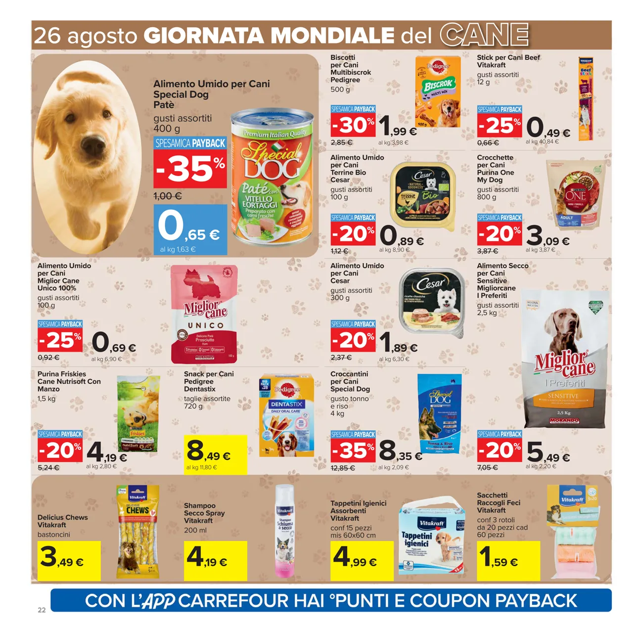 Pagina 22