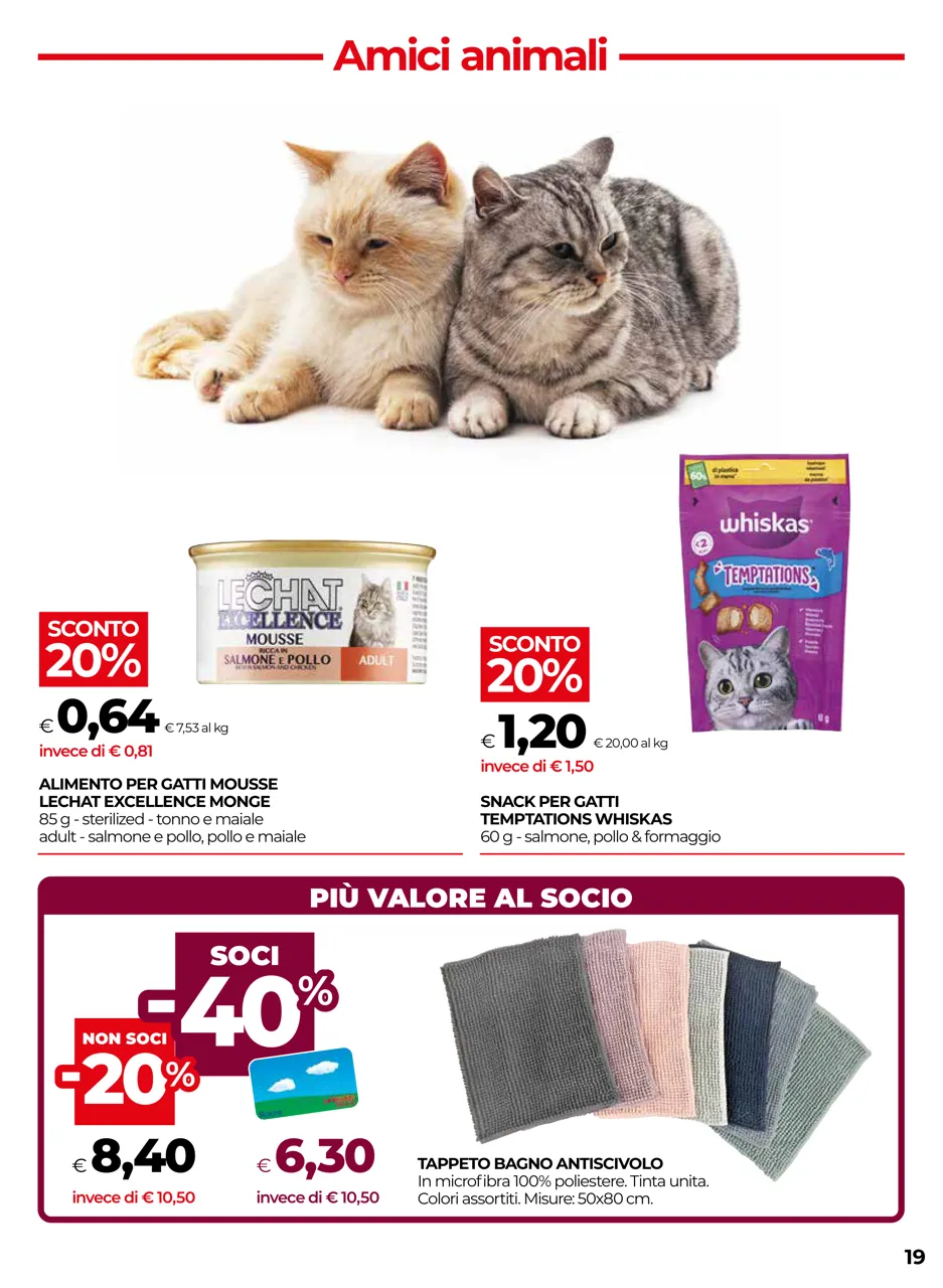 Pagina 19