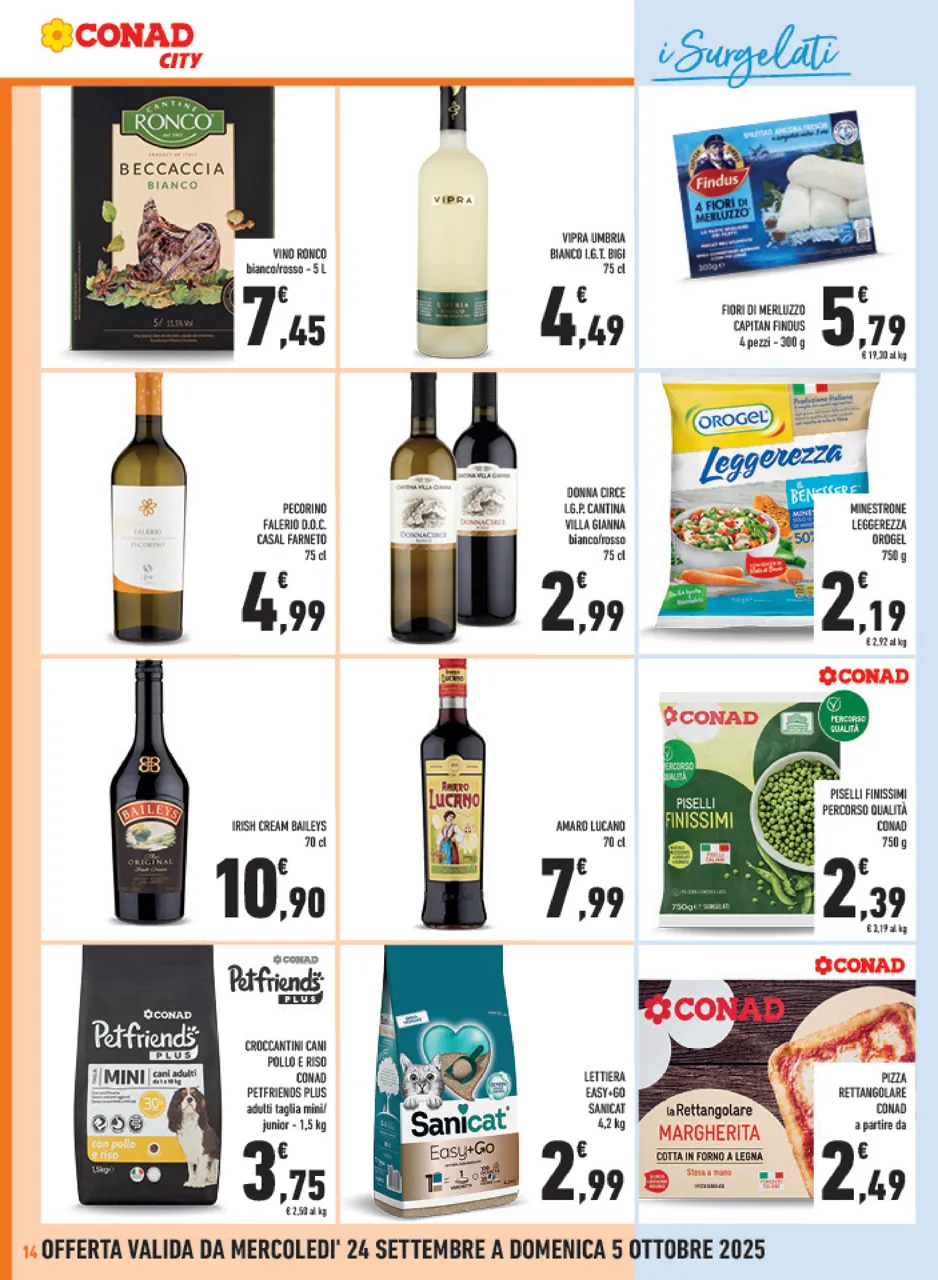Pagina 14