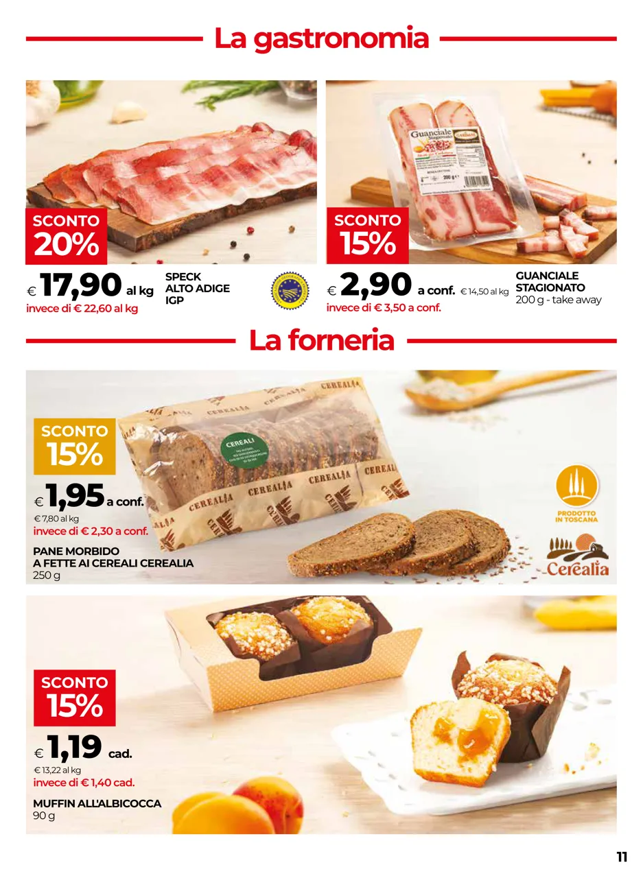 Pagina 11
