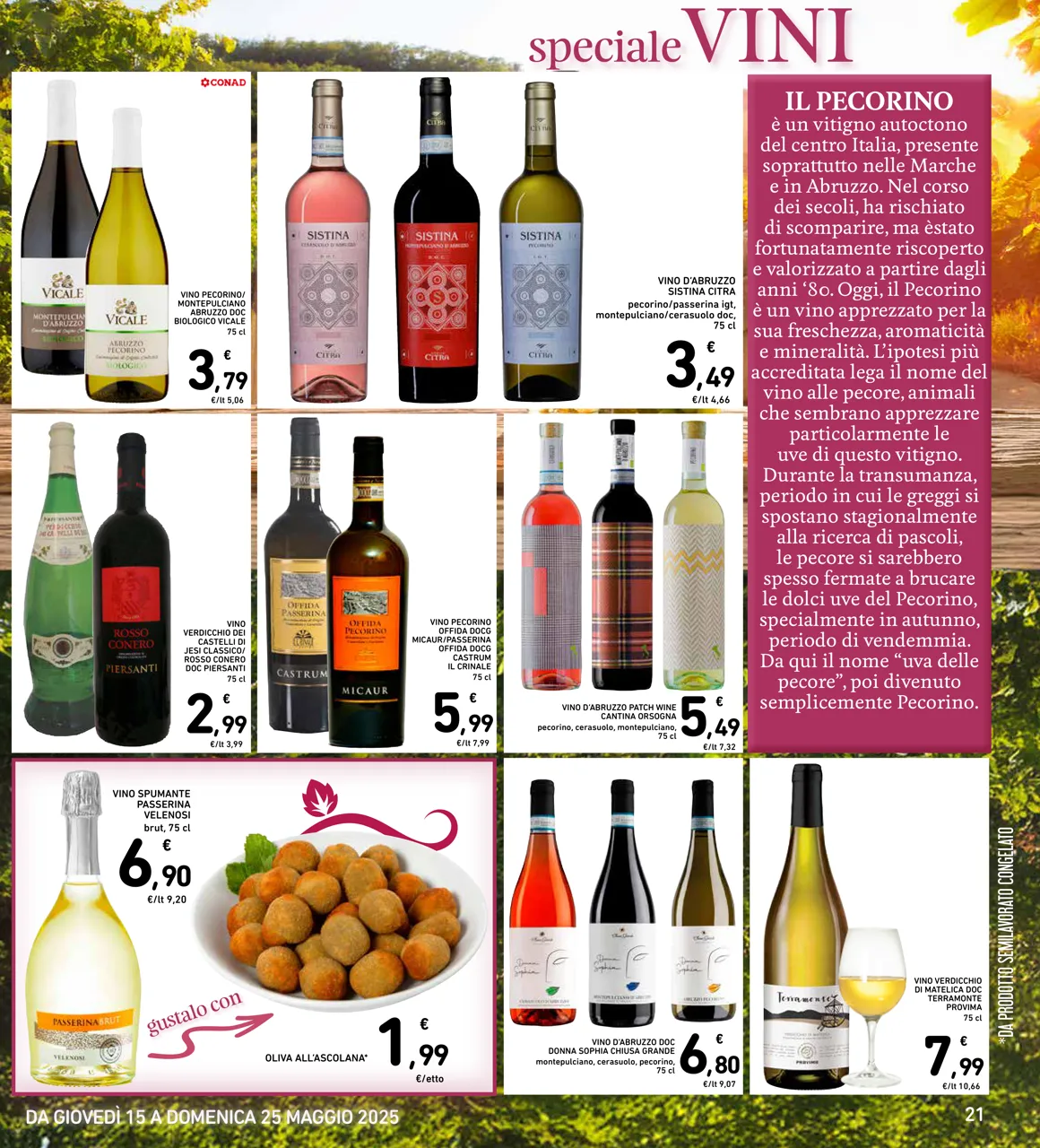 Pagina 21