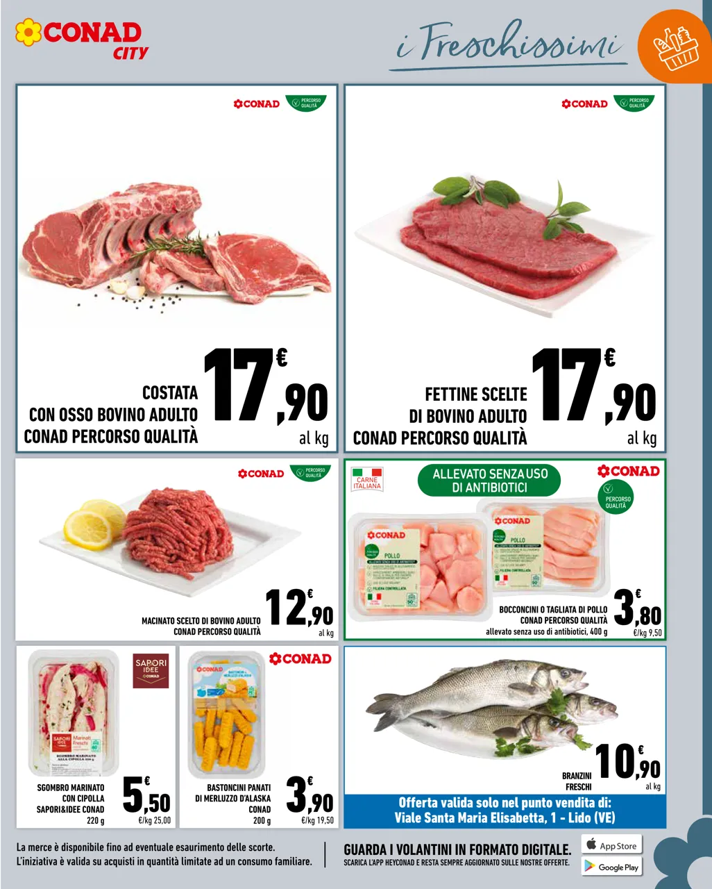 Pagina 7